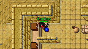 Saptus on screen