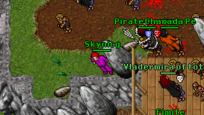 Skynicg on screen