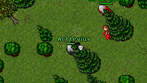 Acttevius on screen