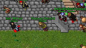 Mange Druid on screen