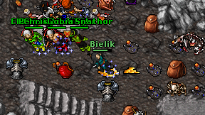 Bielik on screen