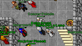 Kubx Druid on screen