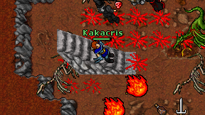Kakacris on screen