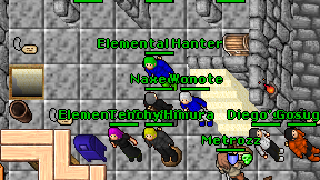 Elemental Hanter on screen