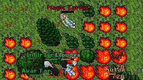 Magic Tarius on screen