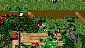 Pulgaflex on screen
