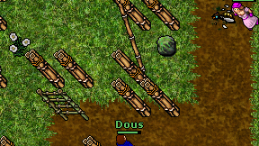 Dous on screen