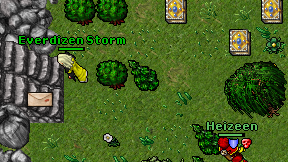 Everdizen Storm on screen