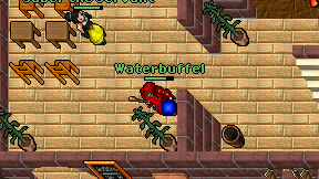 Waterbuffel on screen