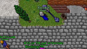 Xonke on screen