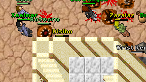 Disibo on screen