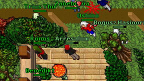 Zanebewia on screen