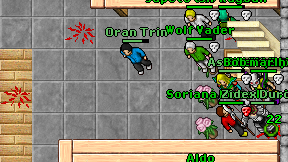 Oran Trin on screen