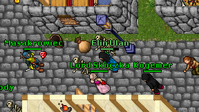 Elin Ulan on screen