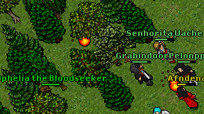 Tribal Of Fire on screen