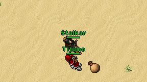 Tijumo on screen
