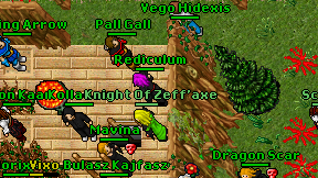 Pall Gall on screen