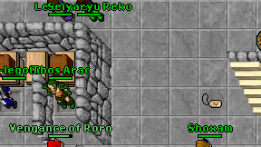 Magelord on screen
