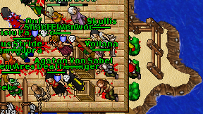 Voilana on screen
