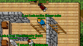 Lactobacilo Douradu on screen