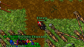 Eleey on screen
