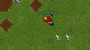 Stos Edius on screen