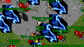 Tiger mage on screen