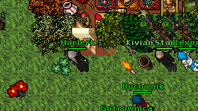 Harlerk on screen