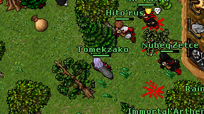 Tomekzako on screen