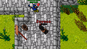 Zeynaa on screen