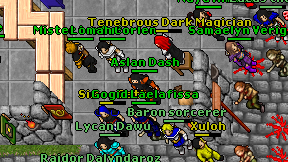 Aslan Dash on screen