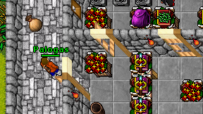 Palogas on screen