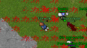 Flexck on screen