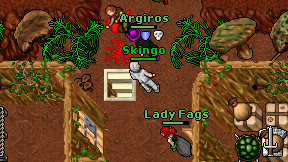 Skingo on screen