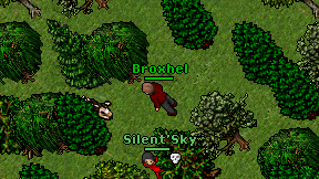 Broxhel on screen