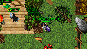 Jaro Sorcerer on screen