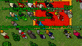 Dicipulofer on screen