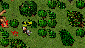 Duda on screen