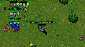 Durus Stride on screen