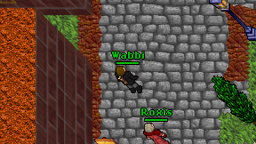 Wabbi on screen
