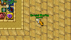 Druid Wafla on screen