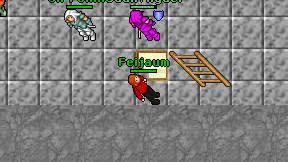 Feijaum on screen