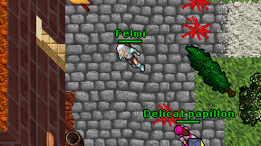 Felmi on screen