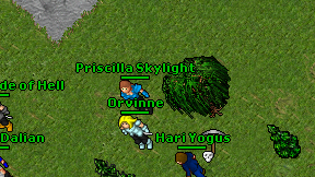 Priscilla Skylight on screen