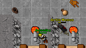 Adoniks on screen