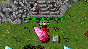 General Snake Knight on screen