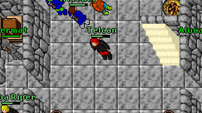 Telcan on screen
