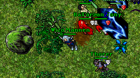 Wizo Mannen on screen