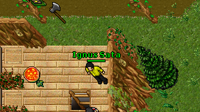 Ignus Sata on screen