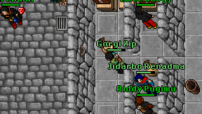 Gorgi Zip on screen